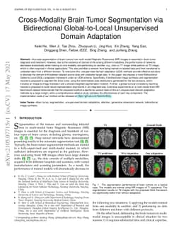 Cross-Modality Brain Tumor Segmentation via Bidirectional
  Global-to-Local Unsupervised Domain Adaptation