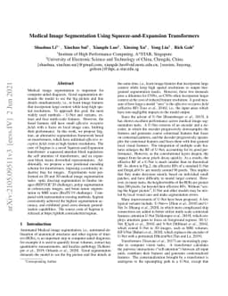 Medical Image Segmentation Using Squeeze-and-Expansion Transformers
