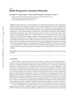 Multi-Perspective Anomaly Detection