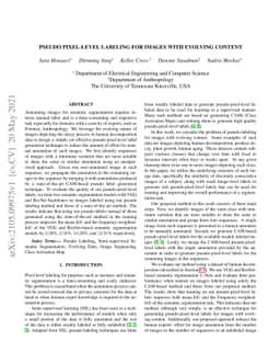 Pseudo Pixel-level Labeling for Images with Evolving Content