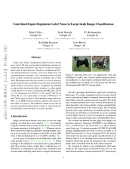 Correlated Input-Dependent Label Noise in Large-Scale Image
  Classification