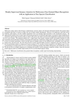 Weakly Supervised Instance Attention for Multisource Fine-Grained Object
  Recognition with an Application to Tree Species Classification