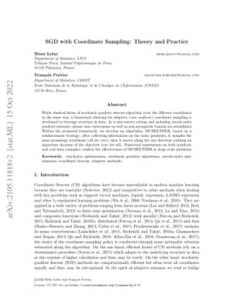 SGD with Coordinate Sampling: Theory and Practice