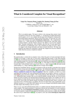 What Is Considered Complete for Visual Recognition?