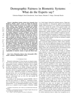 Demographic Fairness in Biometric Systems: What do the Experts say?