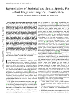 Reconciliation of Statistical and Spatial Sparsity For Robust Image and
  Image-Set Classification