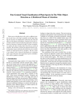 Fine-Grained Visual Classification of Plant Species In The Wild: Object
  Detection as A Reinforced Means of Attention