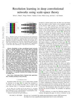 Resolution learning in deep convolutional networks using scale-space
  theory