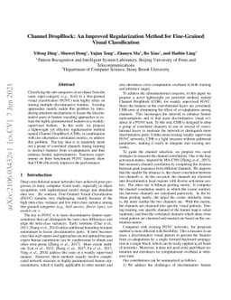 Channel DropBlock: An Improved Regularization Method for Fine-Grained
  Visual Classification
