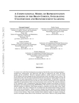 A Computational Model of Representation Learning in the Brain Cortex,
  Integrating Unsupervised and Reinforcement Learning