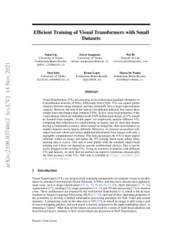 Efficient Training of Visual Transformers with Small Datasets
