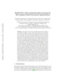 EnMcGAN: Adversarial Ensemble Learning for 3D Complete Renal Structures
  Segmentation
