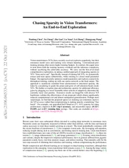 Chasing Sparsity in Vision Transformers: An End-to-End Exploration