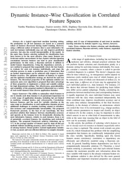 Dynamic Instance-Wise Classification in Correlated Feature Spaces