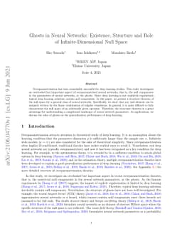 Ghosts in Neural Networks: Existence, Structure and Role of
  Infinite-Dimensional Null Space