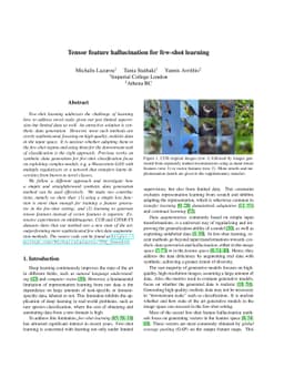 Tensor feature hallucination for few-shot learning