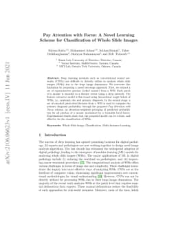 Pay Attention with Focus: A Novel Learning Scheme for Classification of
  Whole Slide Images