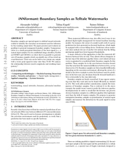 iNNformant: Boundary Samples as Telltale Watermarks