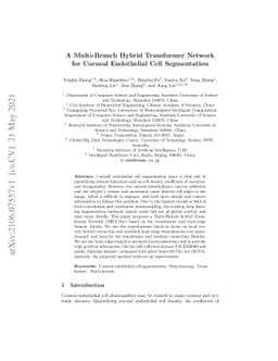 A Multi-Branch Hybrid Transformer Networkfor Corneal Endothelial Cell
  Segmentation