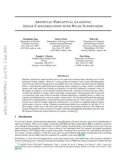 Artificial Perceptual Learning: Image Categorization with Weak
  Supervision