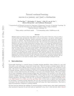 Natural continual learning: success is a journey, not (just) a
  destination