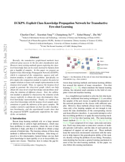 ECKPN: Explicit Class Knowledge Propagation Network for Transductive
  Few-shot Learning