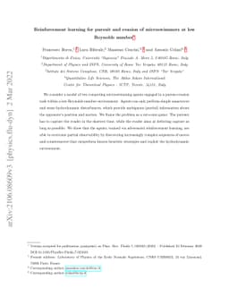 Reinforcement learning for pursuit and evasion of microswimmers at low
  Reynolds number