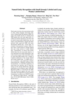Named Entity Recognition with Small Strongly Labeled and Large Weakly
  Labeled Data