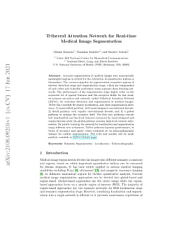 Trilateral Attention Network for Real-time Medical Image Segmentation
