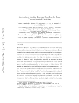 Interpretable Machine Learning Classifiers for Brain Tumour Survival
  Prediction