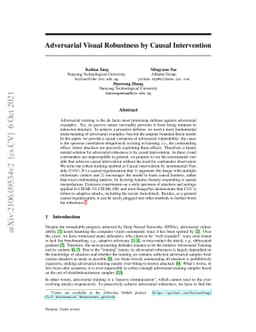 Adversarial Visual Robustness by Causal Intervention