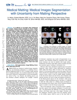 Medical Matting: A New Perspective on Medical Segmentation with
  Uncertainty