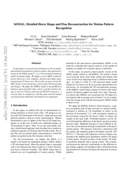 hSMAL: Detailed Horse Shape and Pose Reconstruction for Motion Pattern
  Recognition