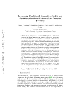 Leveraging Conditional Generative Models in a General Explanation
  Framework of Classifier Decisions