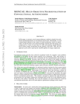 MONCAE: Multi-Objective Neuroevolution of Convolutional Autoencoders