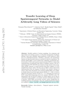 Transfer Learning of Deep Spatiotemporal Networks to Model Arbitrarily
  Long Videos of Seizures