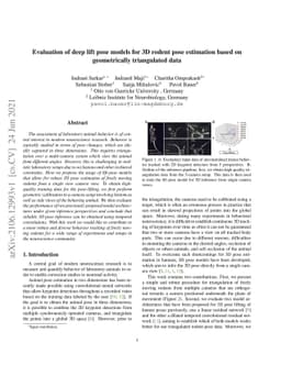 Evaluation of deep lift pose models for 3D rodent pose estimation based
  on geometrically triangulated data