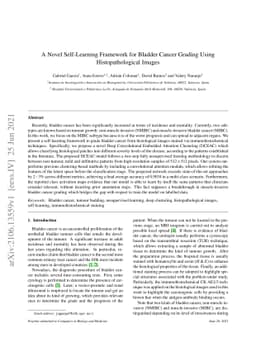 A Novel Self-Learning Framework for Bladder Cancer Grading Using
  Histopathological Images