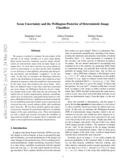 Scene Uncertainty and the Wellington Posterior of Deterministic Image
  Classifiers