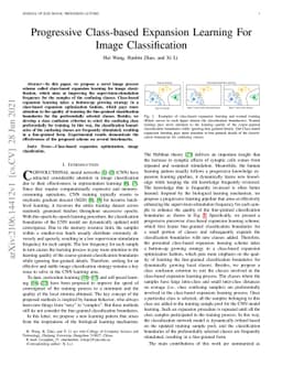 Progressive Class-based Expansion Learning For Image Classification
