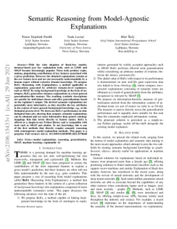 Semantic Reasoning from Model-Agnostic Explanations
