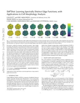 Diff2Dist: Learning Spectrally Distinct Edge Functions, with
  Applications to Cell Morphology Analysis