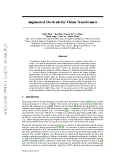 Augmented Shortcuts for Vision Transformers