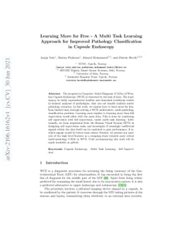 Learning More for Free - A Multi Task Learning Approach for Improved
  Pathology Classification in Capsule Endoscopy