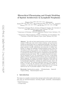 Hierarchical Phenotyping and Graph Modeling of Spatial Architecture in
  Lymphoid Neoplasms