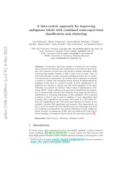 A data-centric approach for improving ambiguous labels with combined
  semi-supervised classification and clustering
