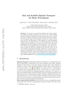 Fast and Scalable Optimal Transport for Brain Tractograms