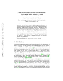 Label noise in segmentation networks : mitigation must deal with bias