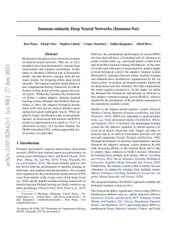 Immuno-mimetic Deep Neural Networks (Immuno-Net)