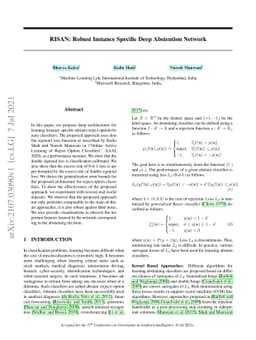 RISAN: Robust Instance Specific Abstention Network